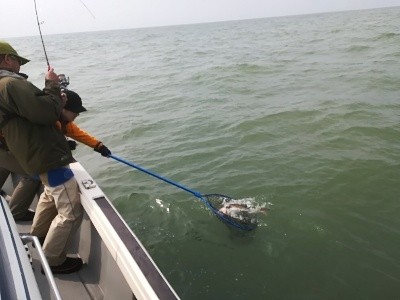 IDATEN(イダテン) 釣果