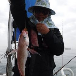 遊漁船 幸友丸 釣果