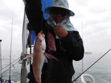 遊漁船 幸友丸 釣果