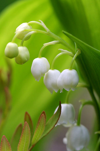 小菅トラウトガーデン 釣果