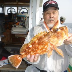 真祐丸 (しんゆうまる) 釣果