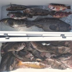 気仙沼 つり丸 釣果