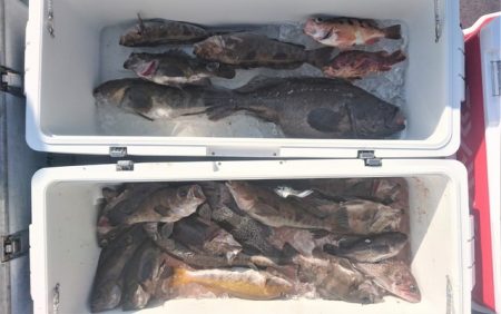 気仙沼 つり丸 釣果