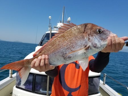 遊漁船 ニライカナイ 釣果