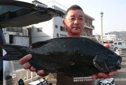 伊豆下田フィッシング 釣果