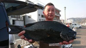 伊豆下田フィッシング 釣果