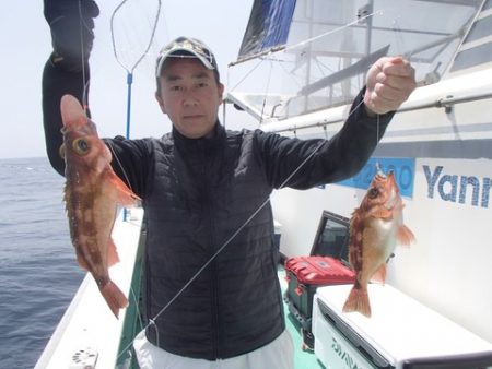 第二むつ漁丸 釣果