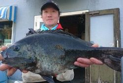 伊豆下田フィッシング 釣果