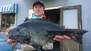 伊豆下田フィッシング 釣果