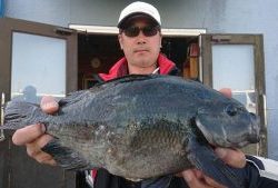 伊豆下田フィッシング 釣果