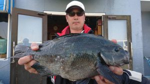 伊豆下田フィッシング 釣果