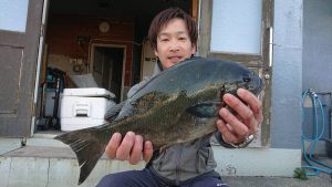 伊豆下田フィッシング 釣果