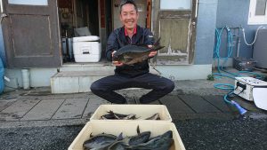 伊豆下田フィッシング 釣果
