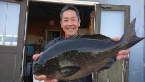 伊豆下田フィッシング 釣果