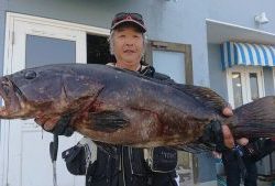 伊豆下田フィッシング 釣果