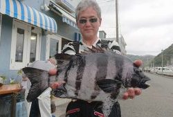 伊豆下田フィッシング 釣果