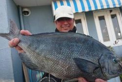 伊豆下田フィッシング 釣果