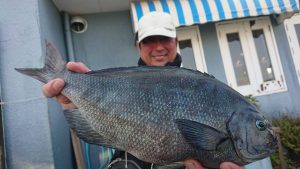 伊豆下田フィッシング 釣果