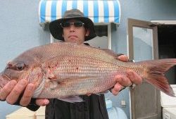 伊豆下田フィッシング 釣果