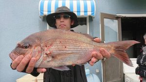 伊豆下田フィッシング 釣果