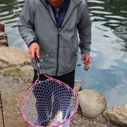 小菅トラウトガーデン 釣果