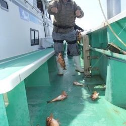 第二むつ漁丸 釣果