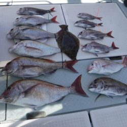 遊漁船 幸友丸 釣果