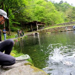 小菅トラウトガーデン 釣果