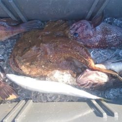 気仙沼 つり丸 釣果