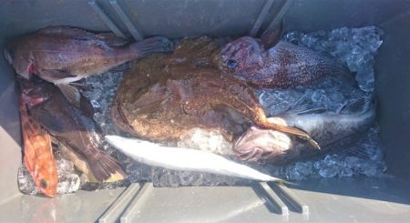 気仙沼 つり丸 釣果