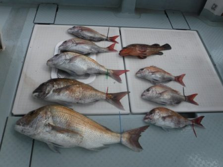 遊漁船 幸友丸 釣果