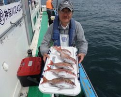 久里浜黒川本家 釣果