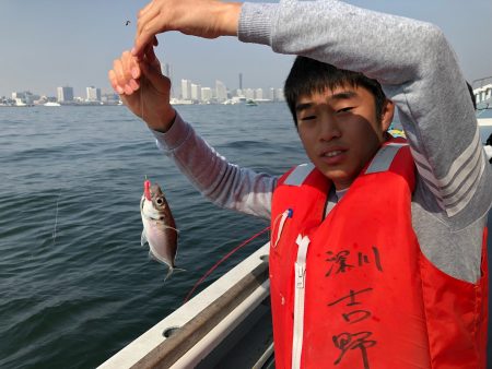 深川 吉野屋 釣果