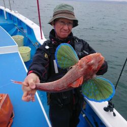 深川 吉野屋 釣果