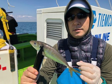 深川　吉野屋 釣果