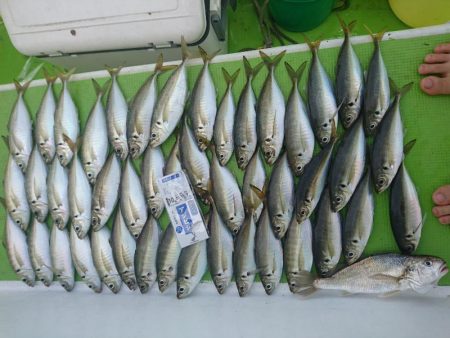 深川　吉野屋 釣果