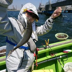 深川 吉野屋 釣果