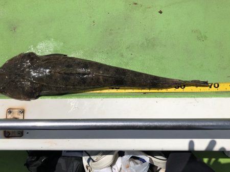 深川 吉野屋 釣果