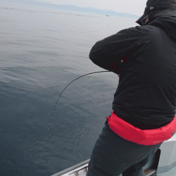 遊漁船ブルーウッズ 釣果