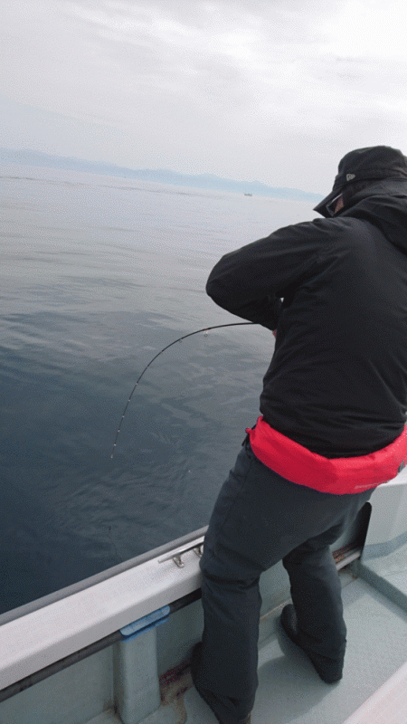 遊漁船ブルーウッズ 釣果