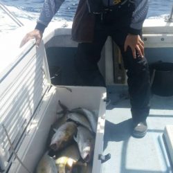 第五慶門丸 釣果