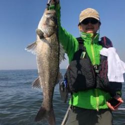 シーマジカル 釣果