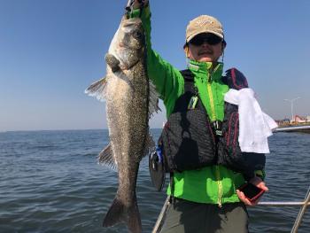 シーマジカル 釣果