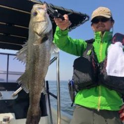 シーマジカル 釣果