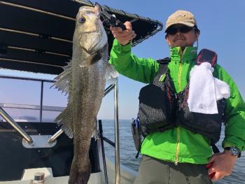 シーマジカル 釣果