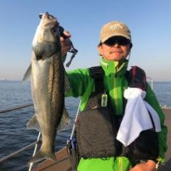 シーマジカル 釣果