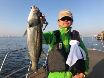 シーマジカル 釣果