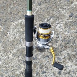 ボラを避けつつ…