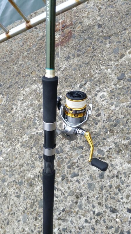 ボラを避けつつ…