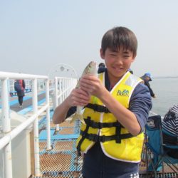 オリジナルメーカー海づり公園(市原市海づり施設) 釣果